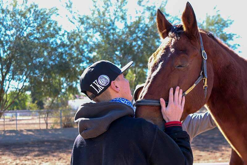 equine therapy
