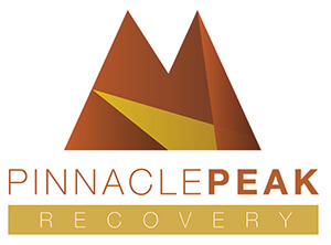Pinnacle Peak Logo - High DPI