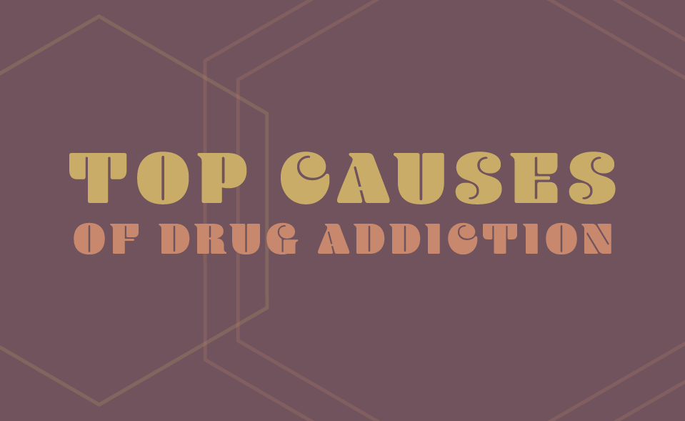 causes of drug addiction infographic