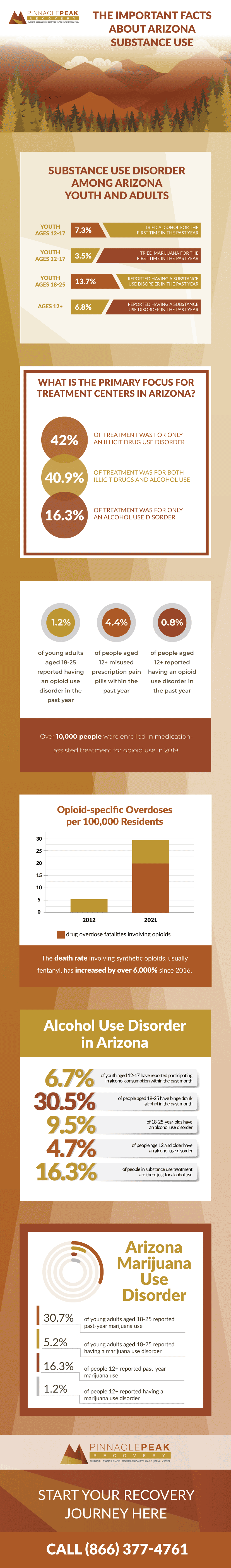 Arizona Substance Use Facts