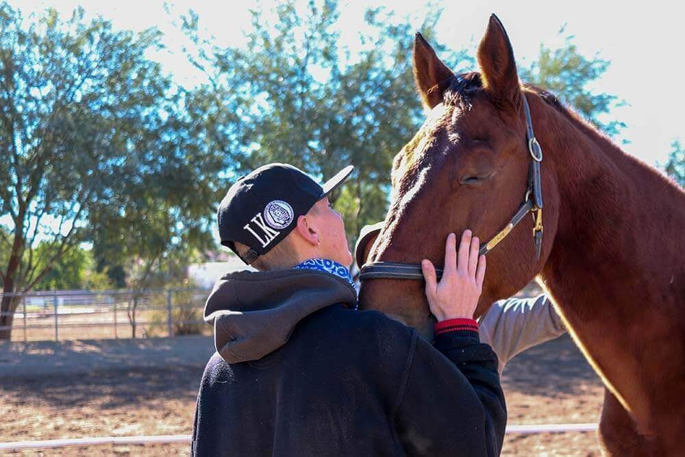 Pinnacle Peak Recovery Patient petting horse