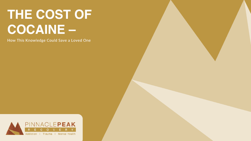 cost of cocaine pinnacle peak recovery